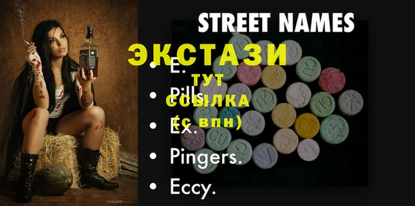 гашик Дмитров