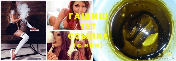 гашик Дмитров