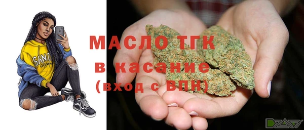 гашик Дмитров