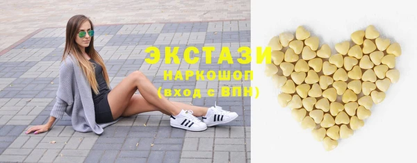 гашик Дмитров