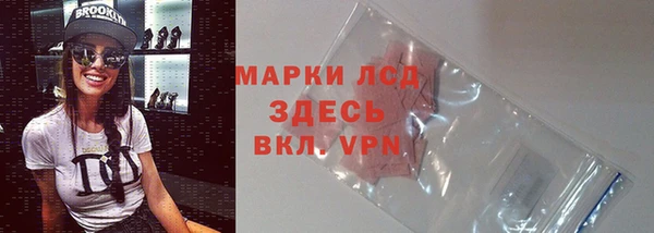 гашик Дмитров