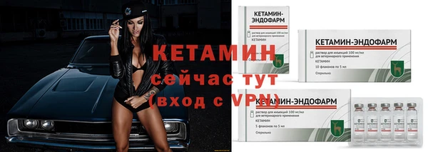 гашик Дмитров