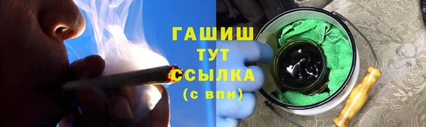 гашик Дмитров