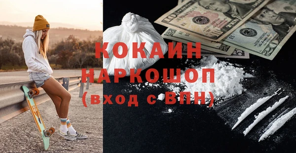 стаф Дмитриев