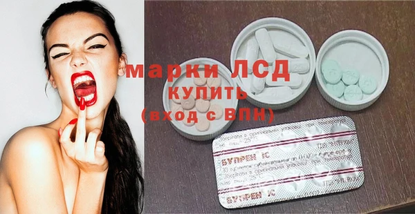 гашик Дмитров