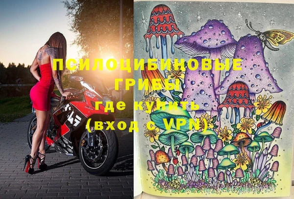 молекула духа Дмитровск
