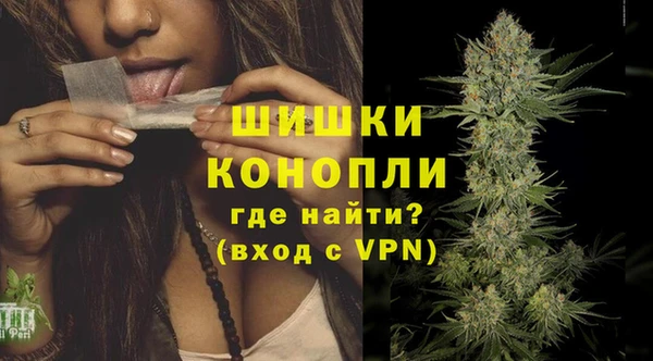 стаф Дмитриев