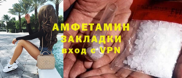 стаф Дмитриев